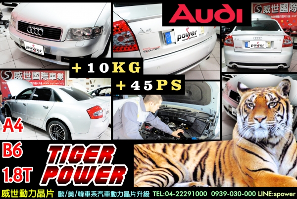 AUDI A4 B6 1.8T TIGER POWER