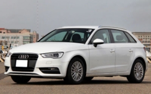 Audi A3 2.0 TFSI 汽油渦輪